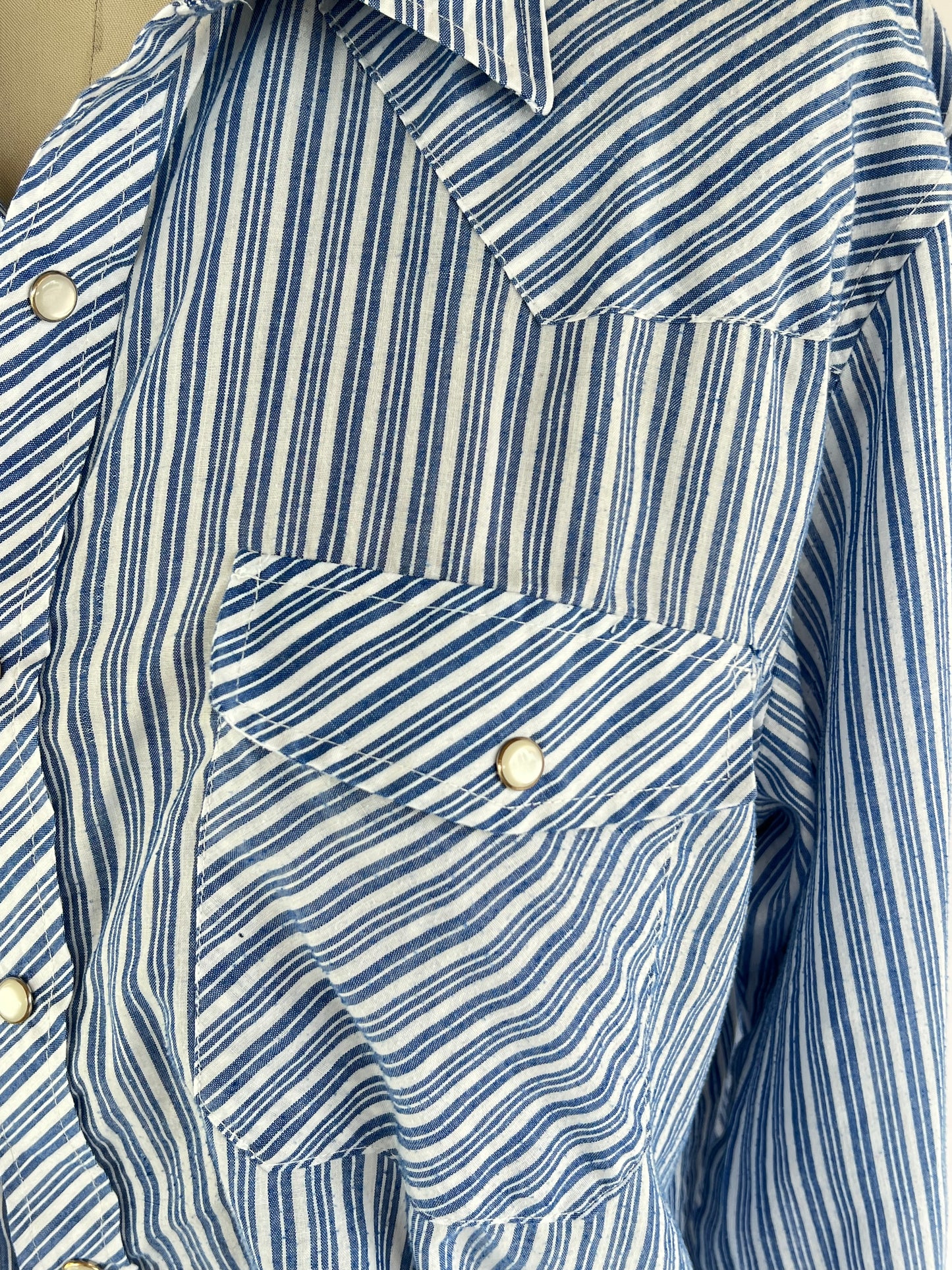 Classic Blue Striped Long Sleeve Pearl Snap Shirt with Point Collar